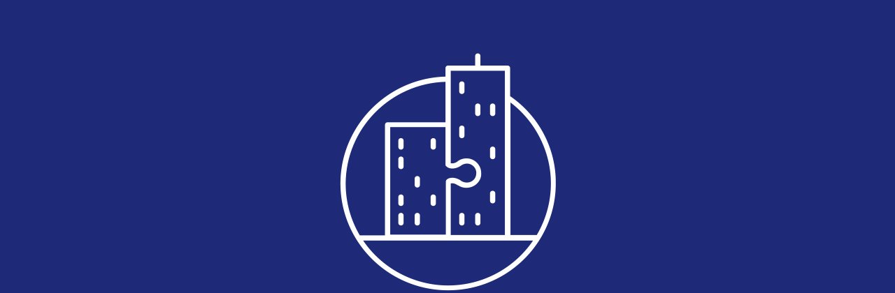 immagine rappresentativa