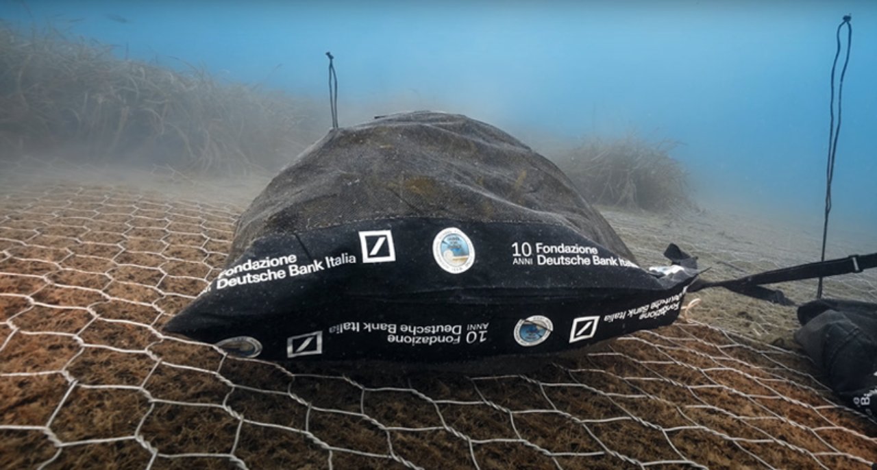 progetto Green Sea Project