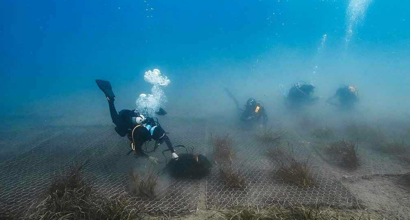 dbmagazine-Green-Sea-Project-SUB